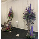Bedding plants Bedding plants